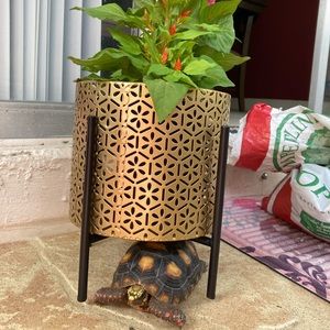 Meet your Posher, Larry